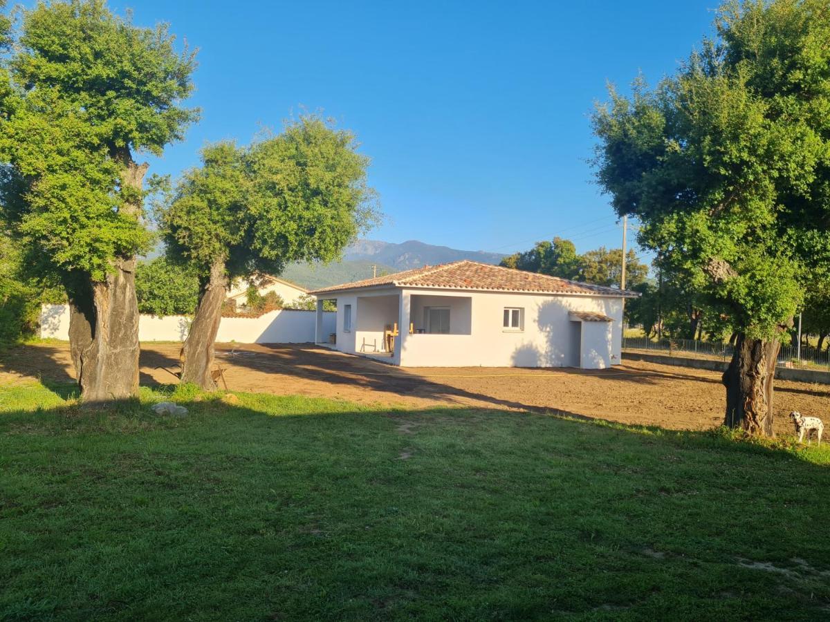 Location "Casa Monna" Prunelli-di-Fiumorbo Exterior foto