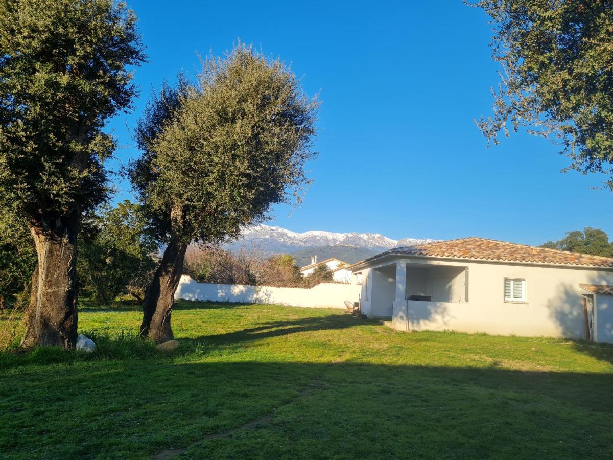 Location "Casa Monna" Prunelli-di-Fiumorbo Exterior foto